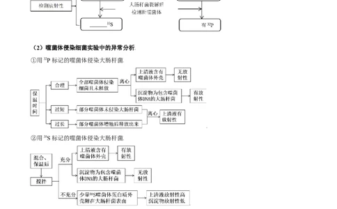 第6讲遗传的分子基础（讲练）-2023年高考生物二轮复习讲练测（新教材专用）（原卷版）_新高考复习资料_2023年新高考复习资料_二轮复习_2023年高考生物二轮复习讲练测（新教材专用）