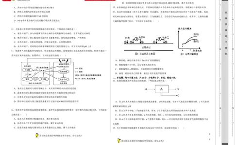 第八单元神经-激素-免疫调节网络构建（A卷新题基础练）-2023年高考生物一轮复习单元滚动双测卷（新高考专用）（考试版）_新高考复习资料_2023年新高考复习资料_一轮复习