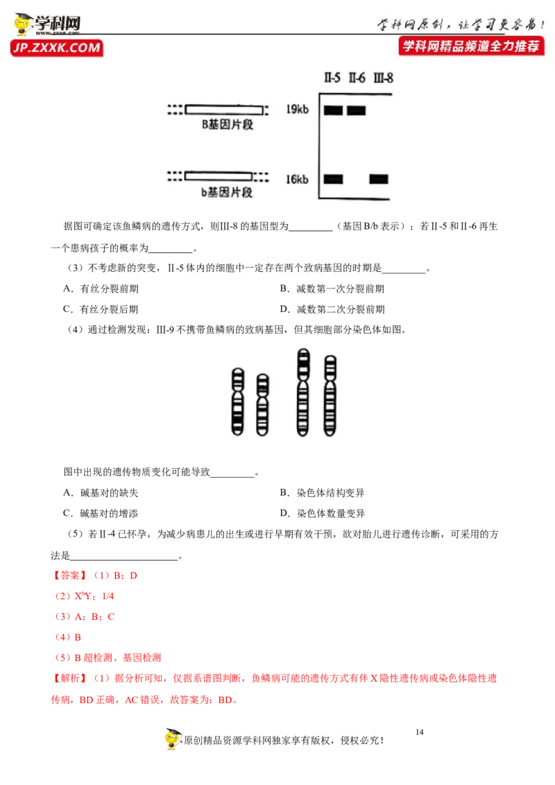 第七单元生物的变异与进化（B卷能力提升练）-2023年高考生物一轮复习单元滚动双测卷（新高考专用）（解析版）_新高考复习资料_2023年新高考复习资料_一轮复习