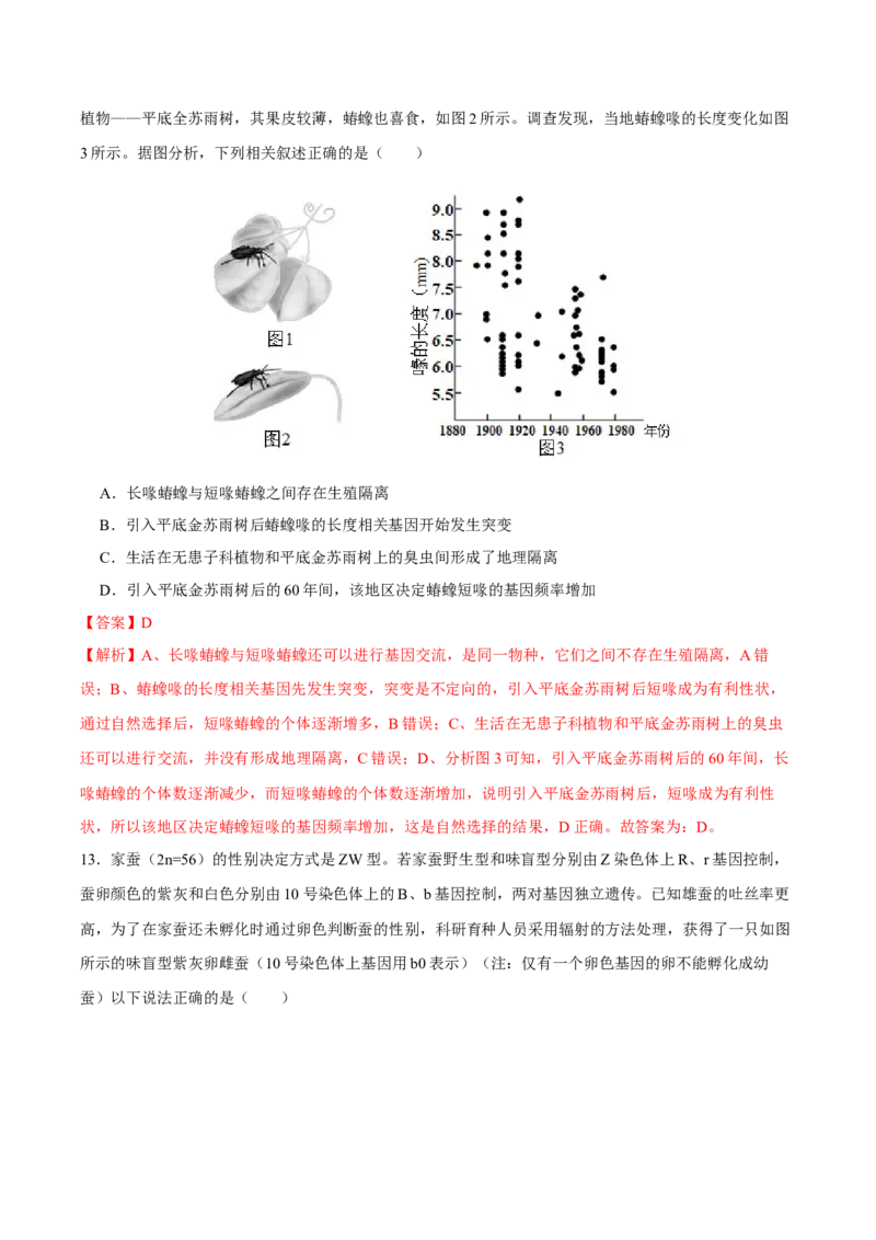 第七单元生物的变异与进化（B卷能力提升练）-2023年高考生物一轮复习单元滚动双测卷（新高考专用）（解析版）_新高考复习资料_2023年新高考复习资料_一轮复习