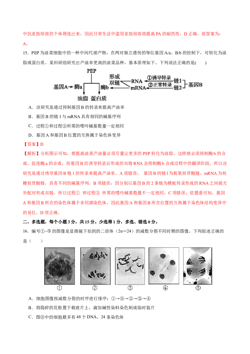 第七单元生物的变异与进化（B卷能力提升练）-2023年高考生物一轮复习单元滚动双测卷（新高考专用）（解析版）_新高考复习资料_2023年新高考复习资料_一轮复习