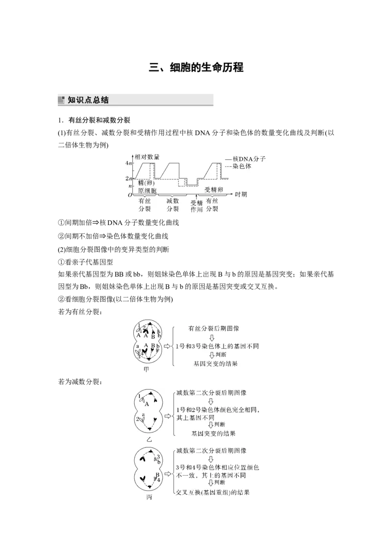 第二篇第一部分三、细胞的生命历程_通用版（老高考）复习资料_2023年复习资料_二轮复习_2023年高考生物二轮复习讲义+课件（全国版）_2023年高考生物二轮复习讲义（全国版）_学生版