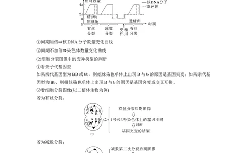 第二篇第一部分三、细胞的生命历程_通用版（老高考）复习资料_2023年复习资料_二轮复习_2023年高考生物二轮复习讲义+课件（全国版）_2023年高考生物二轮复习讲义（全国版）_学生版