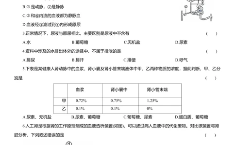 2026年中考生物复习专题练习：专题十八泌尿系统（含答案）_6生物中考复习_2026年中考复习（更新中）_2026年中考生物一轮复习专题练习（含答案）