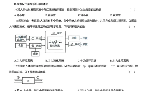 2026年中考生物复习专题练习：专题十八泌尿系统（含答案）_6生物中考复习_2026年中考复习（更新中）_2026年中考生物一轮复习专题练习（含答案）