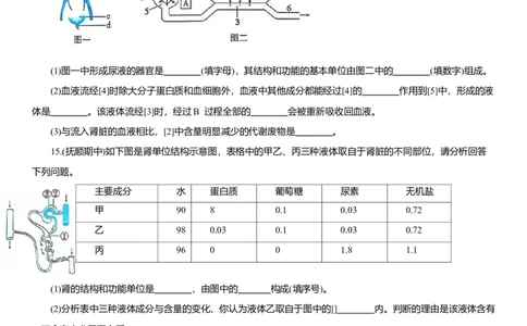 2026年中考生物复习专题练习：专题十八泌尿系统（含答案）_6生物中考复习_2026年中考复习（更新中）_2026年中考生物一轮复习专题练习（含答案）