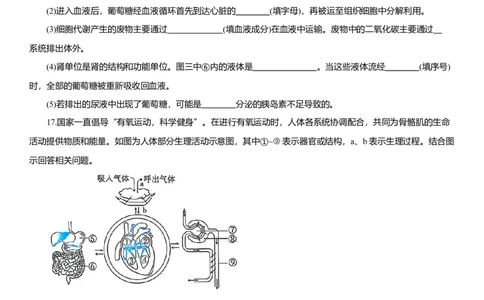 2026年中考生物复习专题练习：专题十八泌尿系统（含答案）_6生物中考复习_2026年中考复习（更新中）_2026年中考生物一轮复习专题练习（含答案）