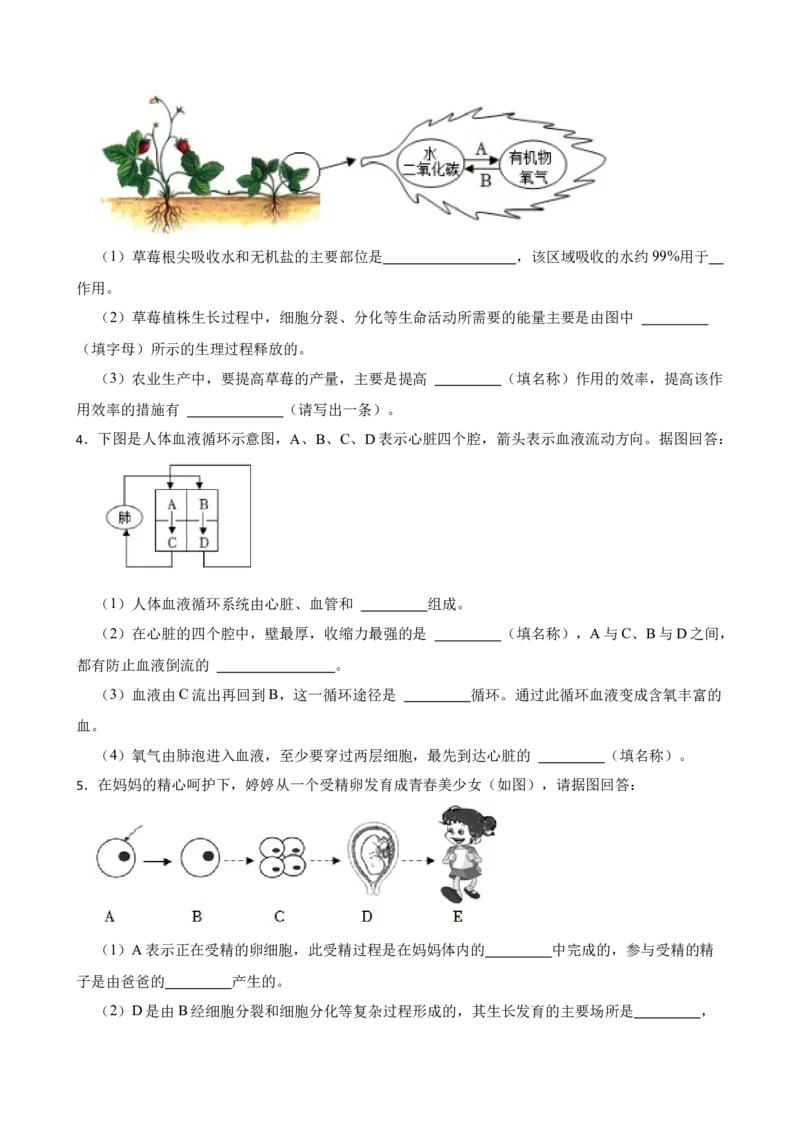 2024年中考生物专题复习：读图理解题（含答案）_6生物中考复习_2024年中考复习资料_二轮复习_备考2024中考生物二轮复习题型突破专练
