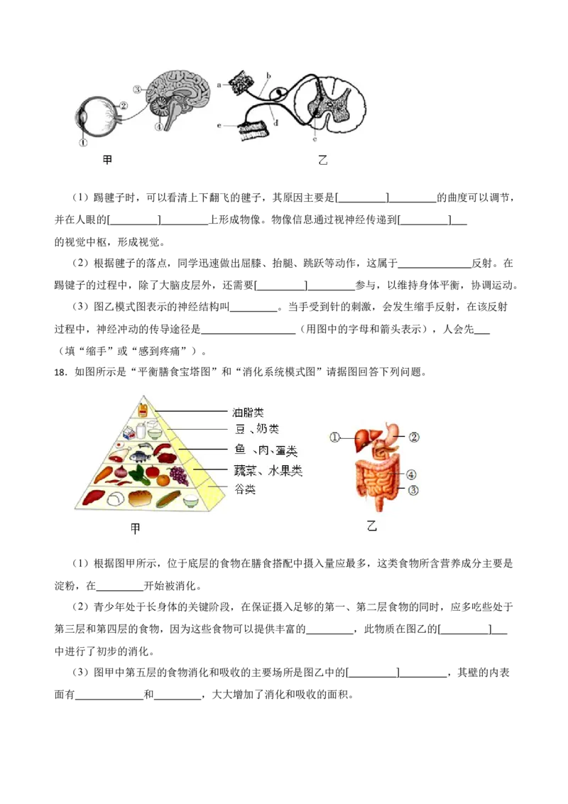 2024年中考生物专题复习：读图理解题（含答案）_6生物中考复习_2024年中考复习资料_二轮复习_备考2024中考生物二轮复习题型突破专练