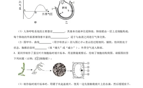 2024年中考生物专题复习：读图理解题（含答案）_6生物中考复习_2024年中考复习资料_二轮复习_备考2024中考生物二轮复习题型突破专练
