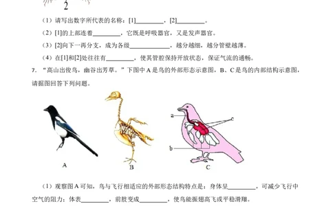 2024年中考生物专题复习：读图理解题（含答案）_6生物中考复习_2024年中考复习资料_二轮复习_备考2024中考生物二轮复习题型突破专练