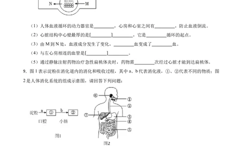 2024年中考生物专题复习：读图理解题（含答案）_6生物中考复习_2024年中考复习资料_二轮复习_备考2024中考生物二轮复习题型突破专练