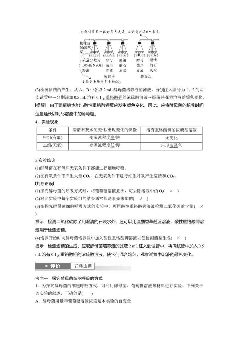 第三单元　第13课时　细胞呼吸的方式和有氧呼吸_新高考复习资料_2025年新高考资料_2025新高考一轮复习生物_2025大一轮复习讲义生物人教版教师用书Word版文档整书