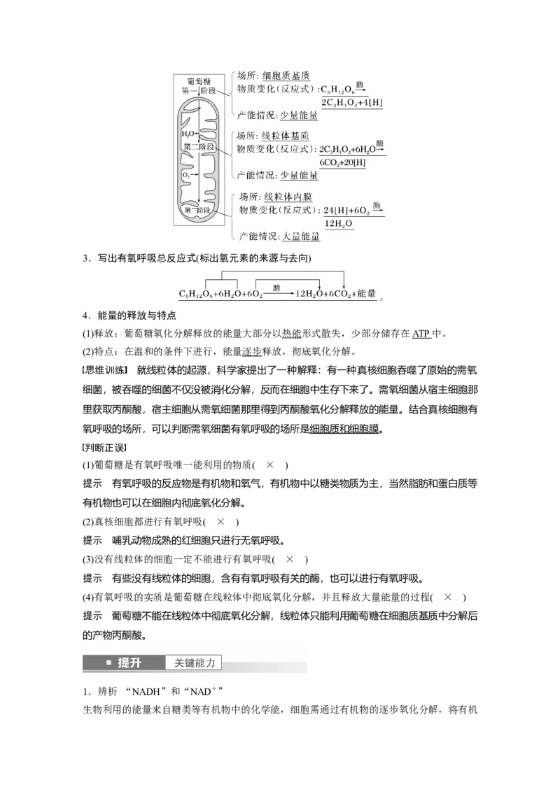 第三单元　第13课时　细胞呼吸的方式和有氧呼吸_新高考复习资料_2025年新高考资料_2025新高考一轮复习生物_2025大一轮复习讲义生物人教版教师用书Word版文档整书