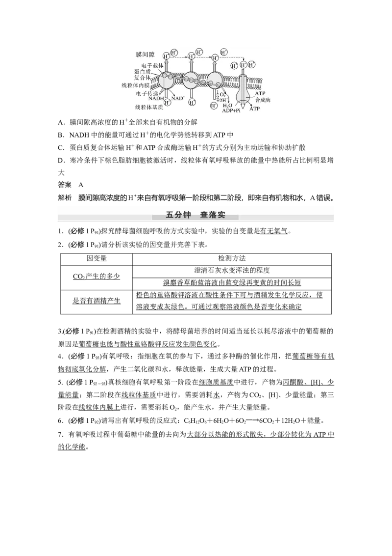 第三单元　第13课时　细胞呼吸的方式和有氧呼吸_新高考复习资料_2025年新高考资料_2025新高考一轮复习生物_2025大一轮复习讲义生物人教版教师用书Word版文档整书