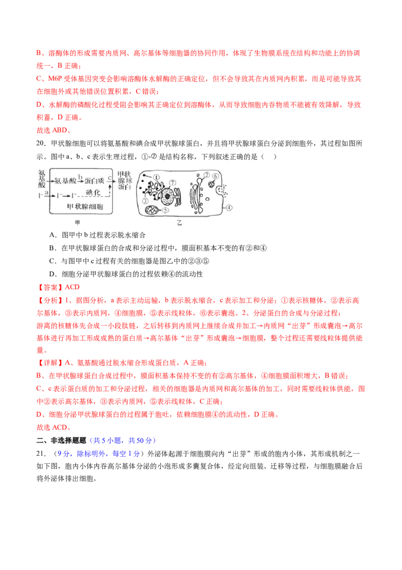 第二单元细胞的结构、功能和物质运输（测试）（解析版）_2025年新高考资料_一轮复习_2025年高考生物一轮复习讲练测（新教材新高考）