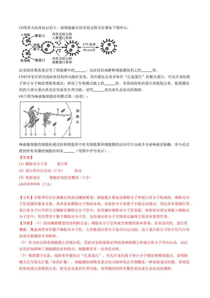 第二单元细胞的结构、功能和物质运输（测试）（解析版）_2025年新高考资料_一轮复习_2025年高考生物一轮复习讲练测（新教材新高考）