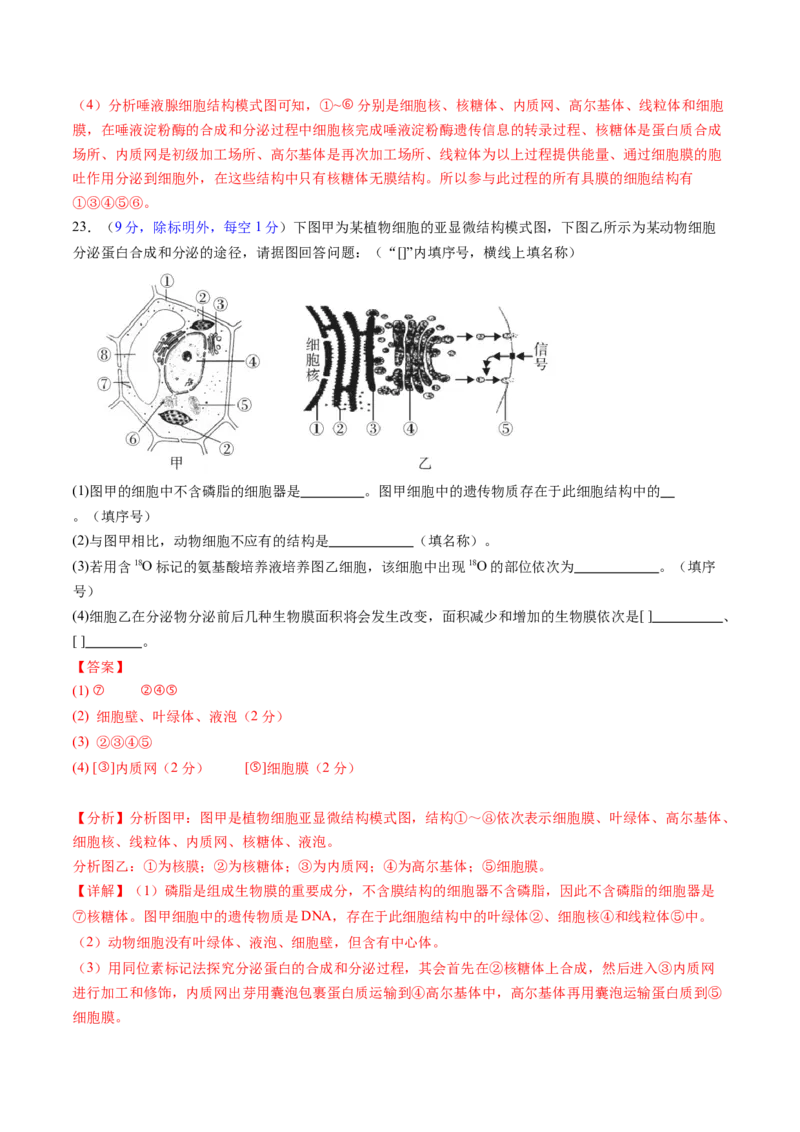 第二单元细胞的结构、功能和物质运输（测试）（解析版）_2025年新高考资料_一轮复习_2025年高考生物一轮复习讲练测（新教材新高考）