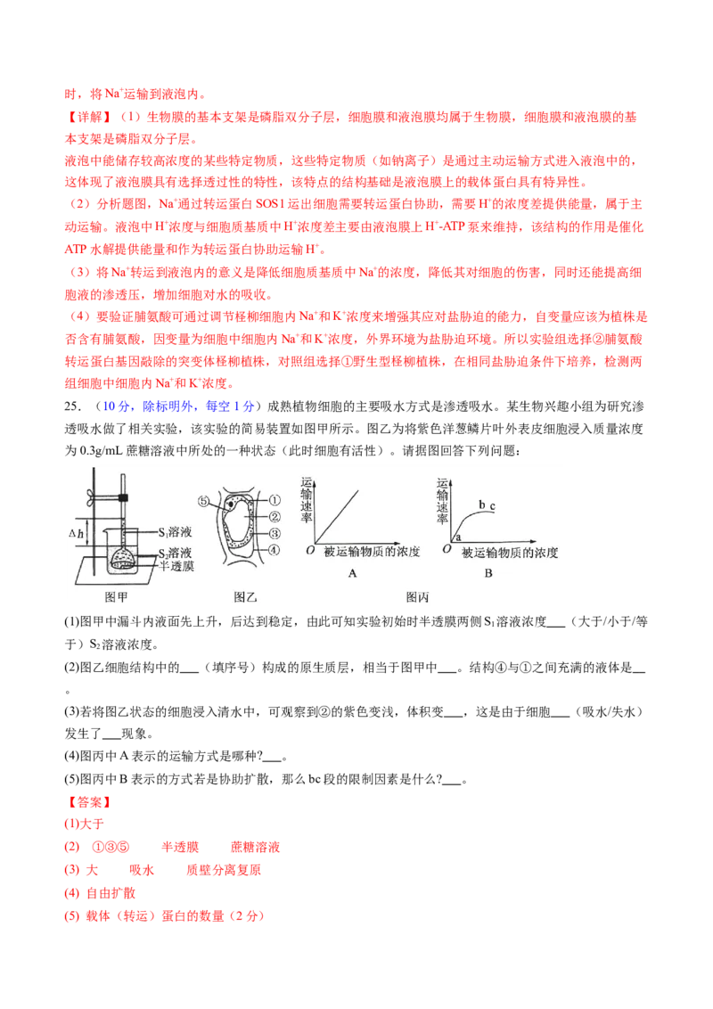第二单元细胞的结构、功能和物质运输（测试）（解析版）_2025年新高考资料_一轮复习_2025年高考生物一轮复习讲练测（新教材新高考）