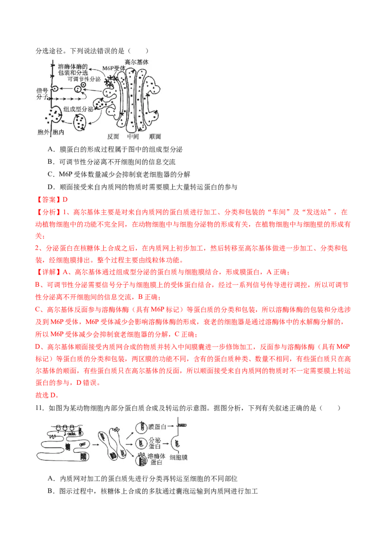 第二单元细胞的结构、功能和物质运输（测试）（解析版）_2025年新高考资料_一轮复习_2025年高考生物一轮复习讲练测（新教材新高考）