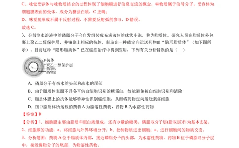 第二单元细胞的结构、功能和物质运输（测试）（解析版）_2025年新高考资料_一轮复习_2025年高考生物一轮复习讲练测（新教材新高考）