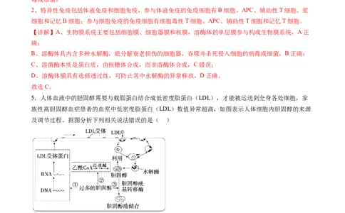 第二单元细胞的结构、功能和物质运输（测试）（解析版）_2025年新高考资料_一轮复习_2025年高考生物一轮复习讲练测（新教材新高考）