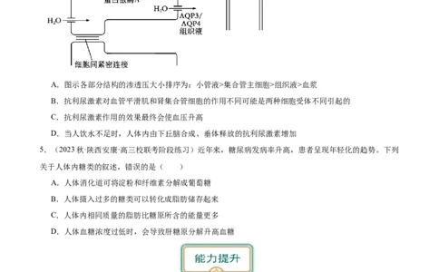 第4讲神经调节和体液调节的关系（原卷版）_通用版（老高考）复习资料_2024年复习资料_完备战2024年高考生物一轮复习考点帮（全国通用）_专题九生命活动的调节