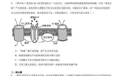第4讲神经调节和体液调节的关系（原卷版）_通用版（老高考）复习资料_2024年复习资料_完备战2024年高考生物一轮复习考点帮（全国通用）_专题九生命活动的调节