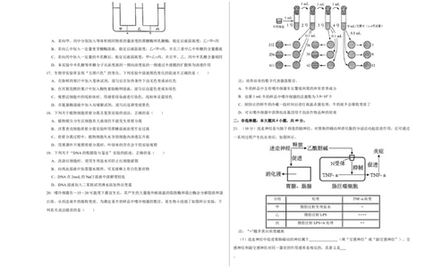 第十一单元实验探究与设计精编（A卷新题基础练）-2023年高考生物一轮复习单元滚动双测卷（新高考专用）（考试版）_新高考复习资料_2023年新高考复习资料_一轮复习