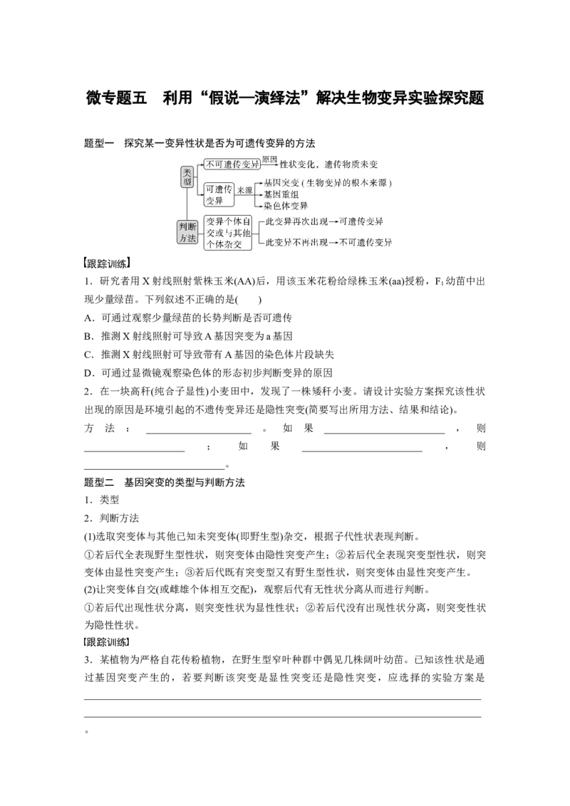 第7单元　微专题五　利用&ldquo;假说&mdash;演绎法&rdquo;解决生物变异实验探究题_新高考复习资料_2024年新高考复习资料_一轮复习资料_完2024生物步步高大一轮复习（课件+讲义）_大一轮复习讲义
