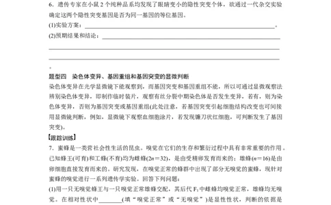 第7单元　微专题五　利用&ldquo;假说&mdash;演绎法&rdquo;解决生物变异实验探究题_新高考复习资料_2024年新高考复习资料_一轮复习资料_完2024生物步步高大一轮复习（课件+讲义）_大一轮复习讲义