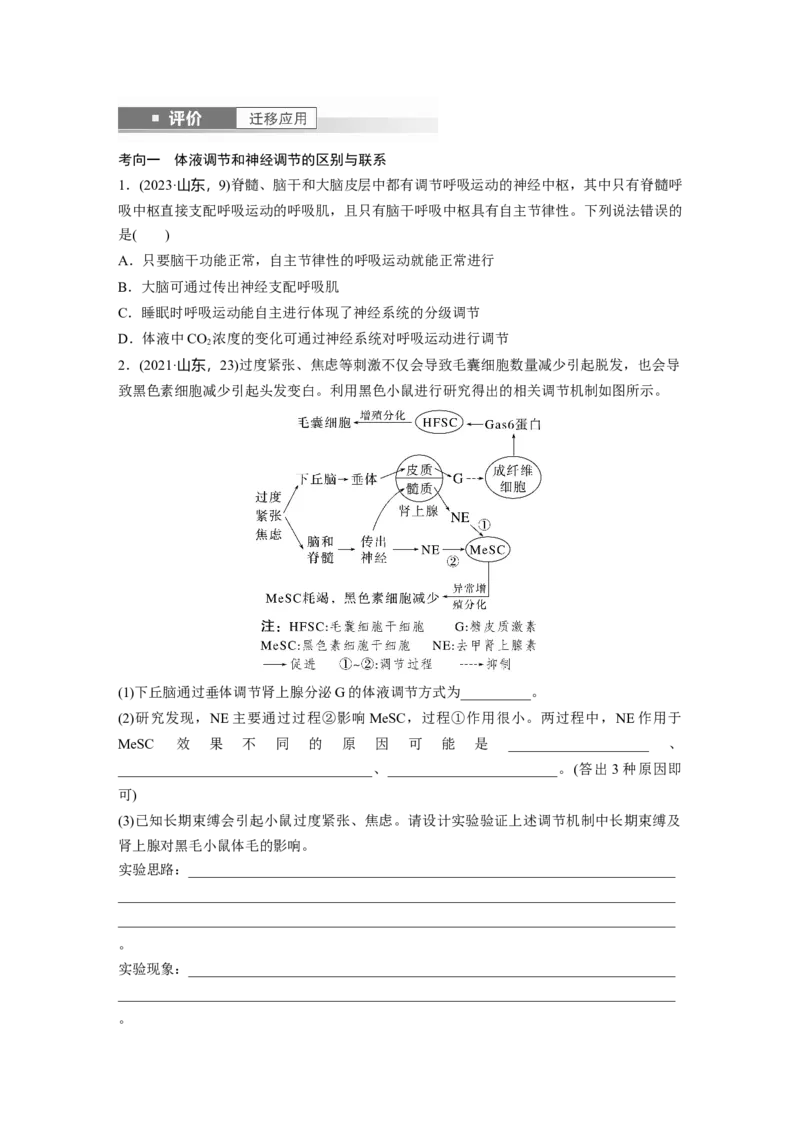 第八单元　第41课时　体液调节与神经调节的关系_2025年新高考资料_一轮复习_2025大一轮复习讲义+课件（完结）_2025大一轮复习讲义生物学生用书Word版文档整书_2025大一轮复习讲义