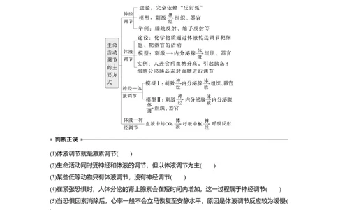 第八单元　第41课时　体液调节与神经调节的关系_2025年新高考资料_一轮复习_2025大一轮复习讲义+课件（完结）_2025大一轮复习讲义生物学生用书Word版文档整书_2025大一轮复习讲义