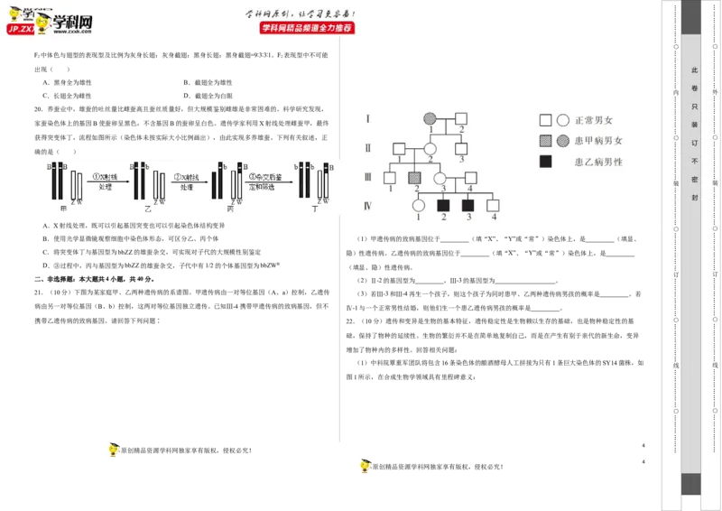 第六单元伴性遗传及其人类遗传病剖析（B卷能力提升练）-2023年高考生物一轮复习单元滚动双测卷（新高考专用）（考试版）_新高考复习资料_2023年新高考复习资料_一轮复习