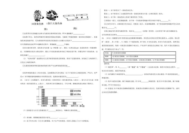 第六单元伴性遗传及其人类遗传病剖析（B卷能力提升练）-2023年高考生物一轮复习单元滚动双测卷（新高考专用）（考试版）_新高考复习资料_2023年新高考复习资料_一轮复习