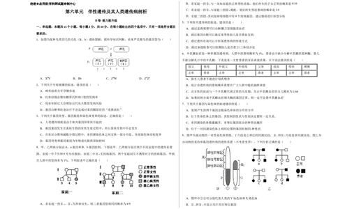 第六单元伴性遗传及其人类遗传病剖析（B卷能力提升练）-2023年高考生物一轮复习单元滚动双测卷（新高考专用）（考试版）_新高考复习资料_2023年新高考复习资料_一轮复习