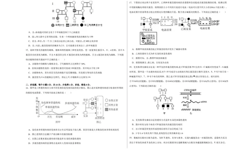 第六单元伴性遗传及其人类遗传病剖析（B卷能力提升练）-2023年高考生物一轮复习单元滚动双测卷（新高考专用）（考试版）_新高考复习资料_2023年新高考复习资料_一轮复习