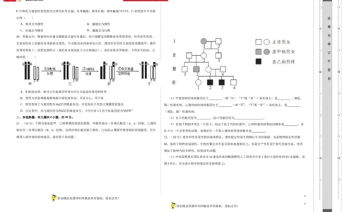 第六单元伴性遗传及其人类遗传病剖析（B卷能力提升练）-2023年高考生物一轮复习单元滚动双测卷（新高考专用）（考试版）_新高考复习资料_2023年新高考复习资料_一轮复习
