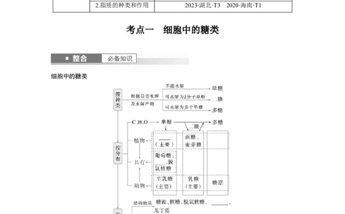 第一单元　第3课时　细胞中的糖类和脂质_2025年新高考资料_一轮复习_2025大一轮复习讲义+课件（完结）_2025大一轮复习讲义生物学生用书Word版文档整书_2025大一轮复习讲义