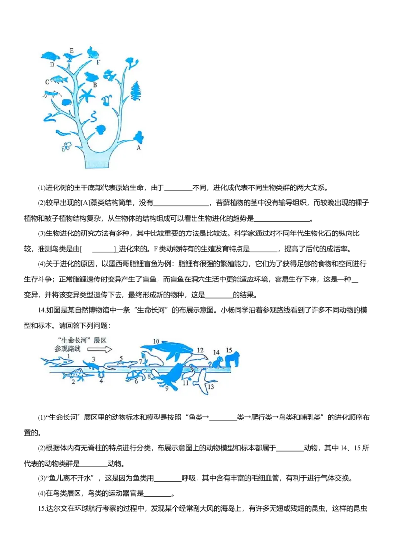 2026年中考生物复习专题练习：专题二十四起源和进化（含答案）_6生物中考复习_2026年中考复习（更新中）_2026年中考生物一轮复习专题练习（含答案）