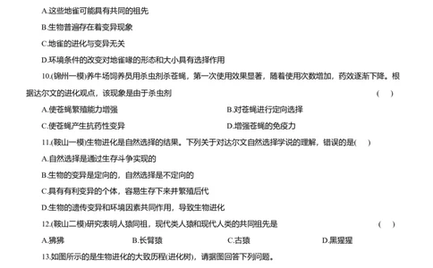 2026年中考生物复习专题练习：专题二十四起源和进化（含答案）_6生物中考复习_2026年中考复习（更新中）_2026年中考生物一轮复习专题练习（含答案）