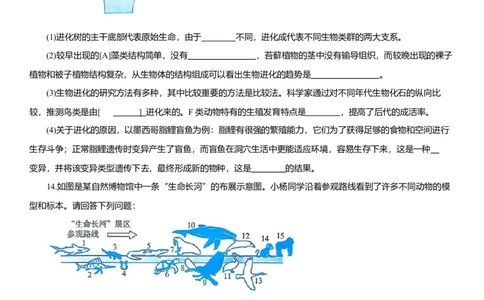 2026年中考生物复习专题练习：专题二十四起源和进化（含答案）_6生物中考复习_2026年中考复习（更新中）_2026年中考生物一轮复习专题练习（含答案）