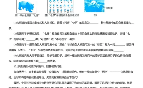 2026年中考生物复习专题练习：专题二十四起源和进化（含答案）_6生物中考复习_2026年中考复习（更新中）_2026年中考生物一轮复习专题练习（含答案）
