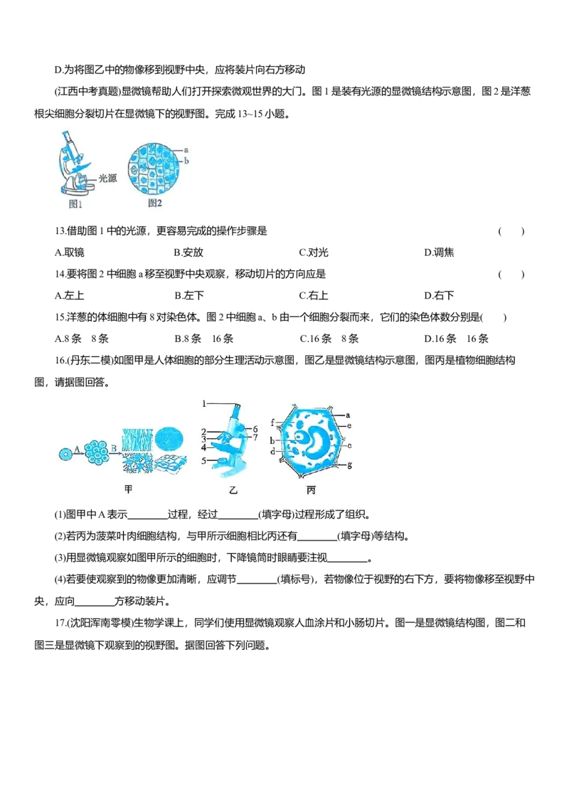 2026年中考生物复习专题练习：专题一显微镜（含答案）_6生物中考复习_2026年中考复习（更新中）_2026年中考生物一轮复习专题练习（含答案）