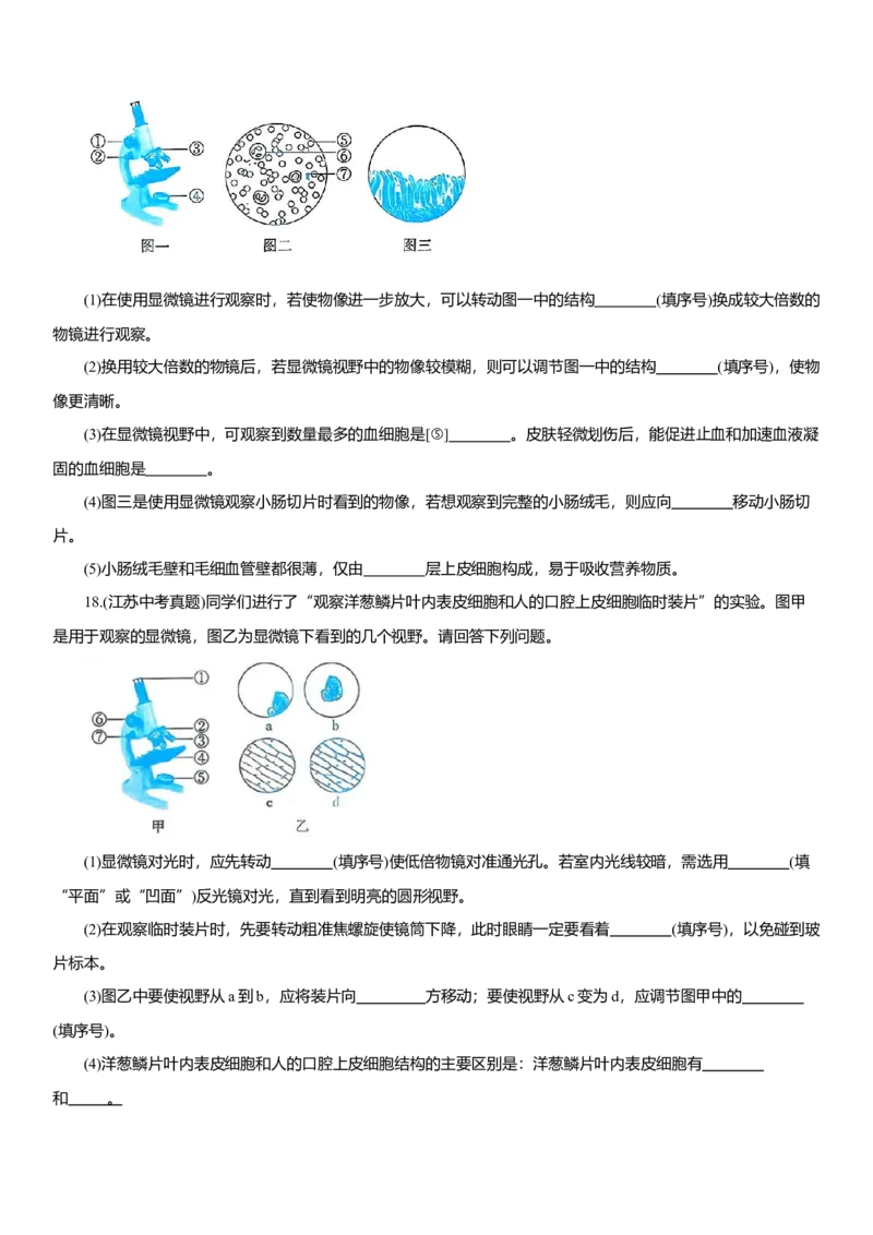 2026年中考生物复习专题练习：专题一显微镜（含答案）_6生物中考复习_2026年中考复习（更新中）_2026年中考生物一轮复习专题练习（含答案）