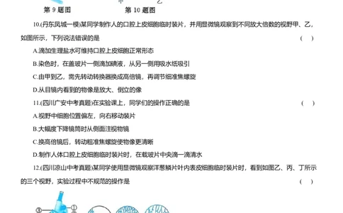 2026年中考生物复习专题练习：专题一显微镜（含答案）_6生物中考复习_2026年中考复习（更新中）_2026年中考生物一轮复习专题练习（含答案）