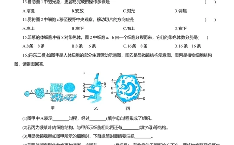 2026年中考生物复习专题练习：专题一显微镜（含答案）_6生物中考复习_2026年中考复习（更新中）_2026年中考生物一轮复习专题练习（含答案）