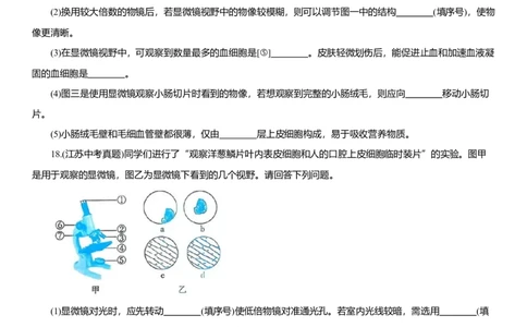 2026年中考生物复习专题练习：专题一显微镜（含答案）_6生物中考复习_2026年中考复习（更新中）_2026年中考生物一轮复习专题练习（含答案）