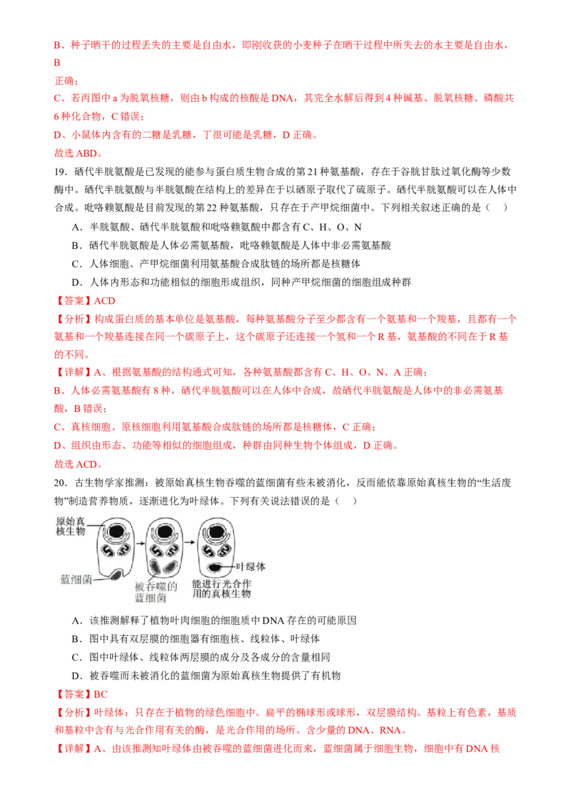 第一单元细胞的概述及其组成分子（测试）（解析版）_2025年新高考资料_一轮复习_2025年高考生物一轮复习讲练测（新教材新高考）