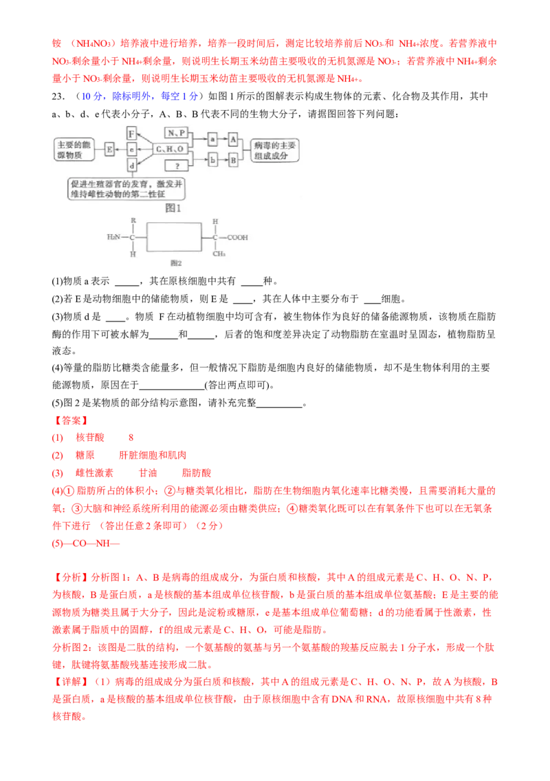 第一单元细胞的概述及其组成分子（测试）（解析版）_2025年新高考资料_一轮复习_2025年高考生物一轮复习讲练测（新教材新高考）